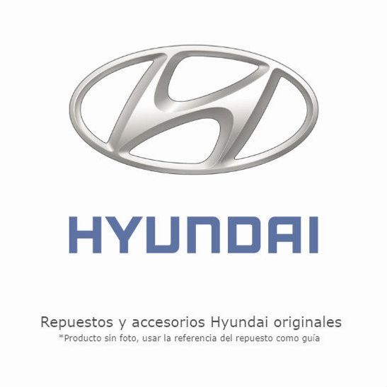 sin_foto_hyundai